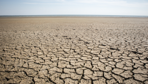 "Tüm dünya acilen su ve iklim tedbirleri almalı"