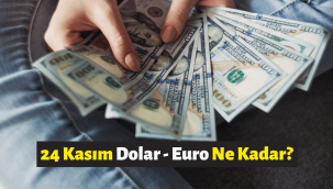 24 Kasım son dakika Dolar Euro ne kadar oldu, kaç lira?