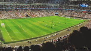 Antwerp Fenerbahçe canli izle