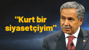 Bülent Arınç: Kurt bir siyasetçiyim nerede ne yapacağımı bilirim