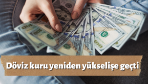 Dolar/TL yeniden yükselişe geçti