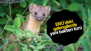 ERÜ'deki gelengiler, bilime ilham oldu