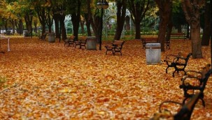 Kayseri'de sonbahar güzelliği