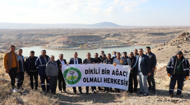 Kayseri'nin İncesu ilçesinde ağaçlandırma faaliyetleri