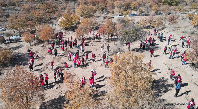 Kızılay haftasında Ali Dağı'na yüzlerce meyve ağacı