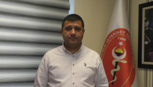 Artık tüm sahipli hayvanlar kayıt altına alınacak