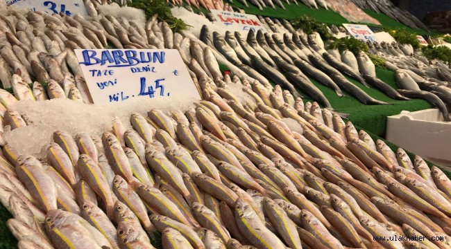 Döviz kuru ve zamlar balık fiyatlarını etkilemedi