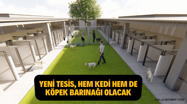 Kayseri Büyükşehir Belediyesi'nden şehre yeni hayvan barınağı