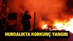 Kayseri'de kamyonet ve baraka alev alev yandı