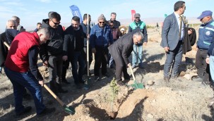 Kayseri Ulaşım A.Ş.'den 3 bin fidan