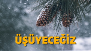 Kayseri'ye soğuk hava dalgası geliyor