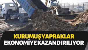 Kocasinan Belediyesi, kurumuş yaprakları gübreye dönüştürüyor