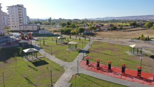 Kocasinan, kişi başına düşen 15,1 metrekare yeşil alan ile rekorunu yeniledi