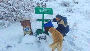 Talas'ta sokak hayvanları için 40 besleme noktası