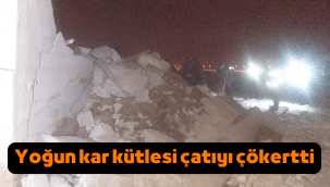 Ahırın çatısı çöktü, 3 hayvan telef oldu