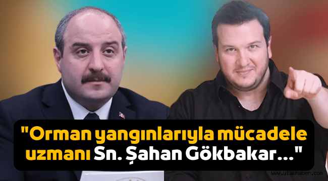 Bakan Varank'tan Şahan Gökbakar'a tepki