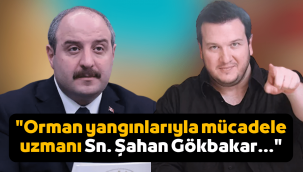 Bakan Varank'tan Şahan Gökbakar'a tepki