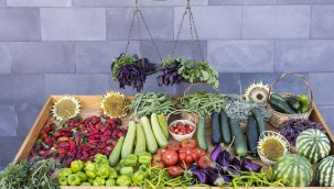 Kayseri Büyükşehir Belediyesi'nden 'organik tarım' eğitimi