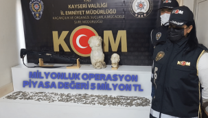 Kayseri'de dev tarihi eser operasyonu