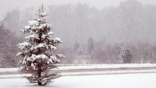 Kayseri'de hafta sonu kar yağışlı geçecek