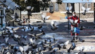 Kocasinan'dan sokak ve yaban hayvanları için doğaya 13 ton yem bıraktı