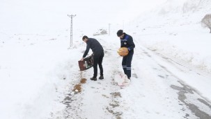 Yaban hayvanları için doğaya yem bırakıldı