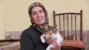 Yahyalılı Fatma Güldoğan, sokak kedilerini aç bırakmıyor