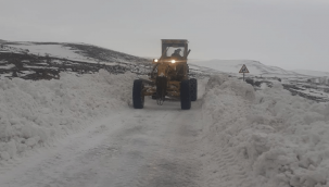 Büyükşehir'in kentin doğusunda karla mücadele çalışmaları sürüyor