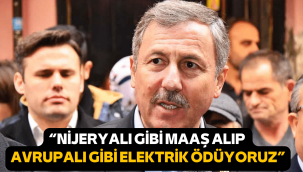 Gelecek Partili Selçuk Özdağ'dan elektrik tepkisi