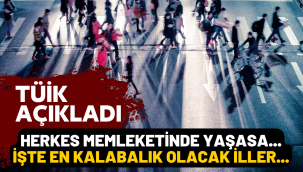 Herkes memleketinde yaşasa en kalabalık iller hangisi olurdu?
