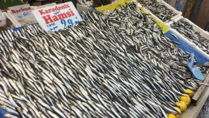 Kayseri'de balık fiyatları