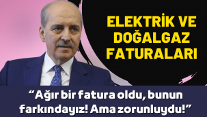 Numan Kurtulmuş'tan yüksek fatura yorumu: Zorunluydu!