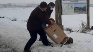 Tedavisi tamamlanan şahin doğaya bırakıldı