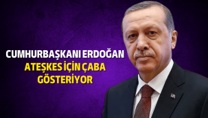 Türkiye'den Rusya'ya çağrı