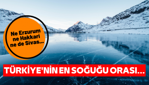 Türkiye'nin en soğuk şehri Karadeniz'de