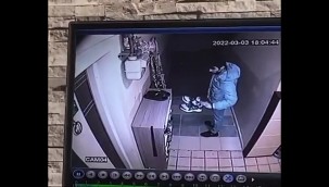 Ayakkabı hırsızı kameraya takıldı