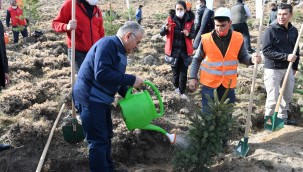 Başkan Büyükkılıç: Üç yılda 300 bin fidan diktik