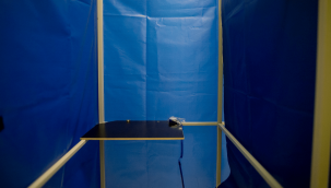 DMO'dan oy verme kabini ihalesi!