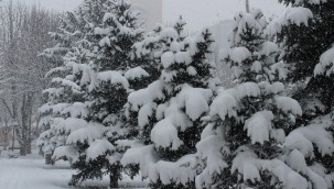 Kayseri'de bu hafta kar yağışı devam edecek