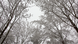 Kayseri'de soğuklar etkisini sürdürecek