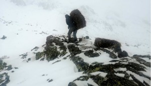 Yahyalı'da yabani hayvanlar için yemleme yapıldı