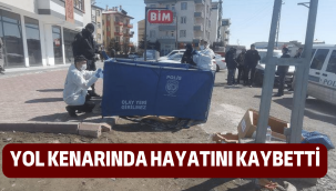 Yaşlı adam yol kenarında cansız bulundu