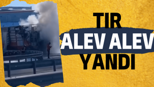 Yatak yüklü TIR alev alev yandı