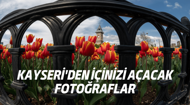 Büyükşehir Belediyesi, Kayseri'yi çiçek bahçesine çevirdi