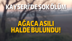 Kayseri'de bir vatandaş, ağaca asılı halde bulundu