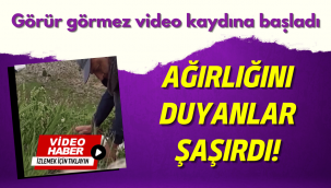 Kayseri'de bulunan dev mantar, görenleri şaşırttı