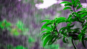 Kayseri'ye yağmur geliyor