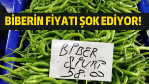 Pazar tezgâhlarının zam şampiyonu biber oldu