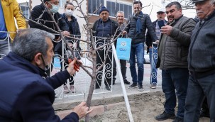 Talaslı çiftçilere uygulamalı aşı ve budama eğitimi