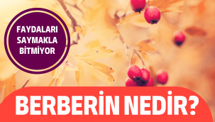 Berberin nedir, ne işe yarar, faydaları nelerdir, nasıl tüketilmeli?